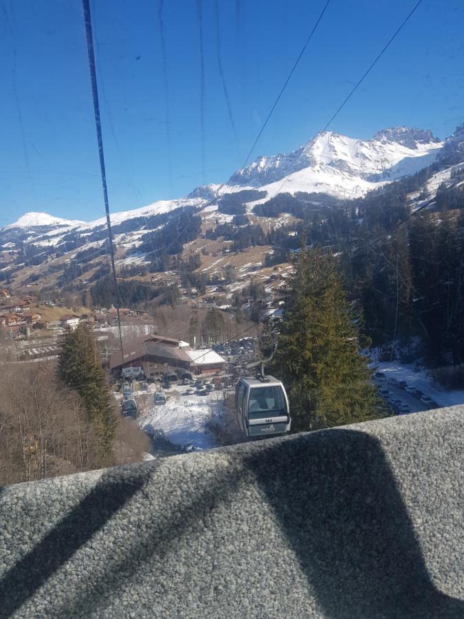 Chalet Grueneggli Adelboden Buitenkant foto