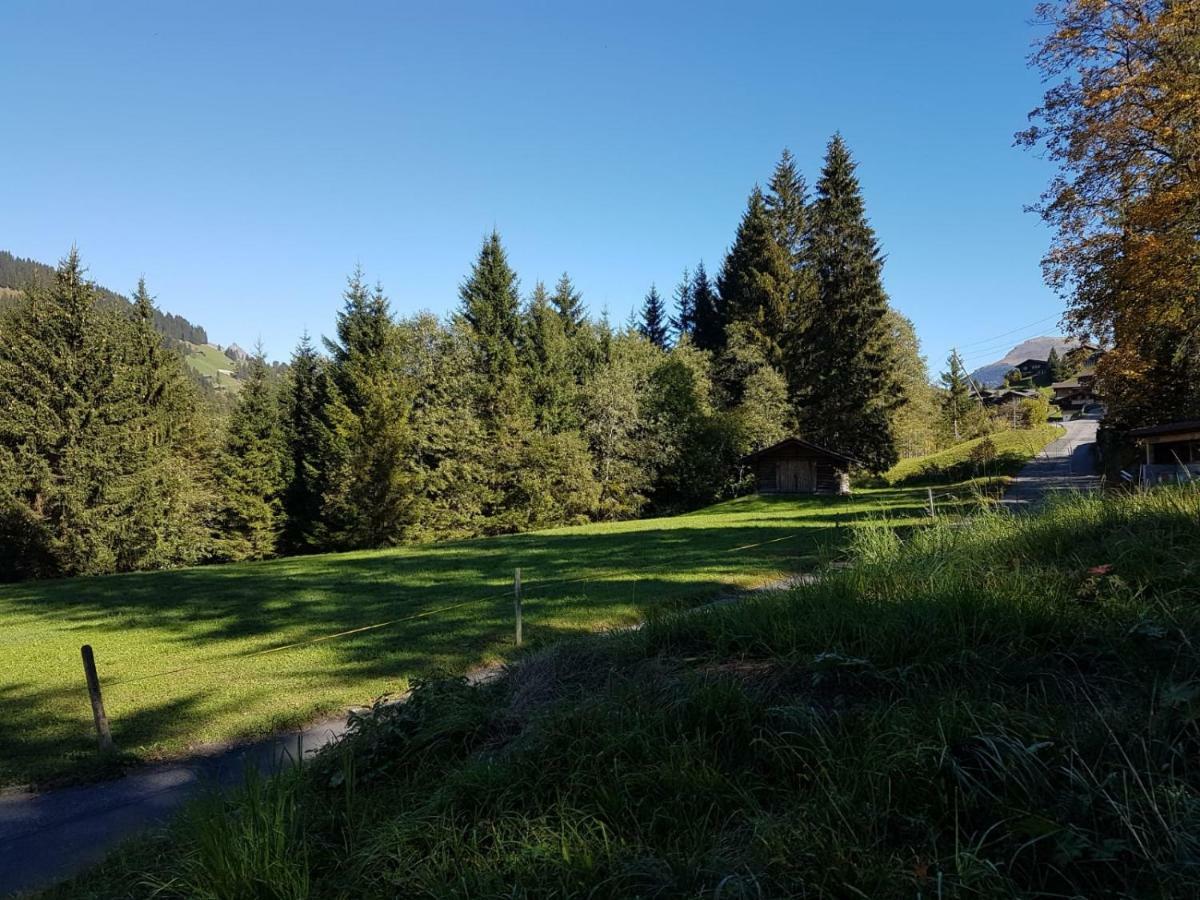 Chalet Grueneggli Adelboden Buitenkant foto