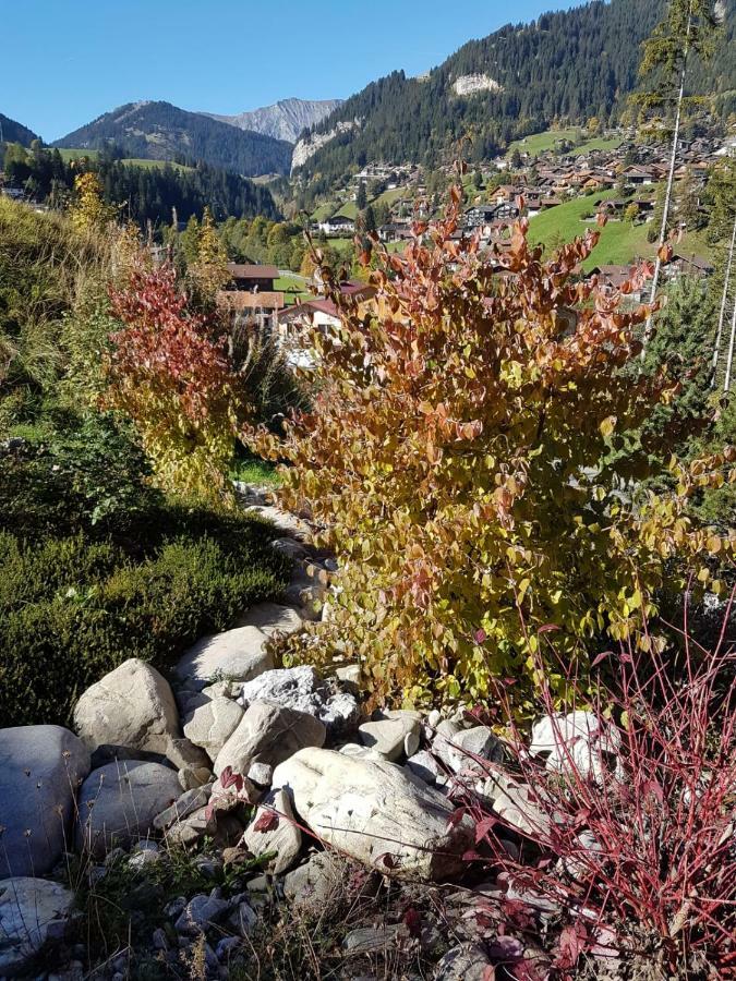 Chalet Grueneggli Adelboden Buitenkant foto